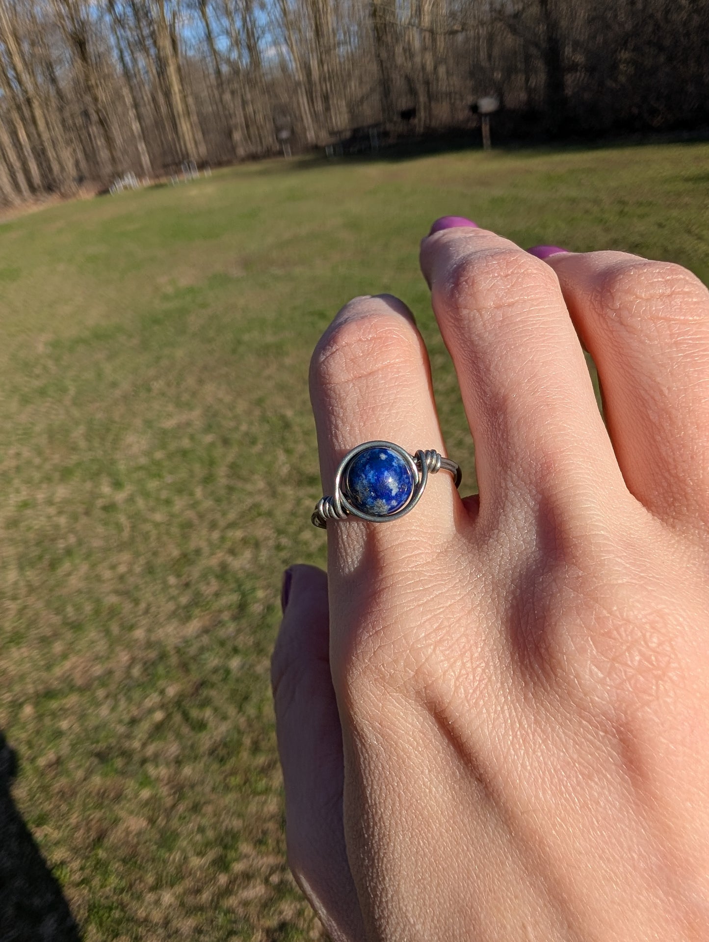 Lapis Lazuli Stainless Steel Fidget Ring